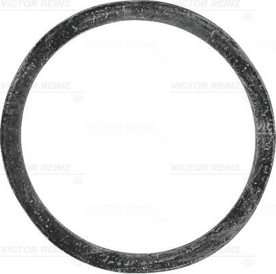 Victor Reinz 40-77339-00 Ring sealing 407733900