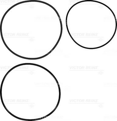 Victor Reinz 15-41981-01 O-rings for cylinder liners, kit 154198101