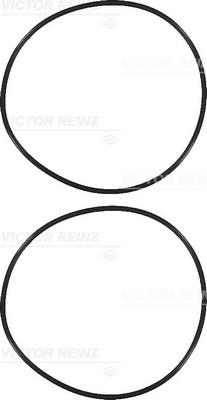 Victor Reinz 15-73194-01 O-rings for cylinder liners, kit 157319401