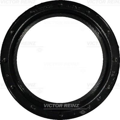 Victor Reinz 81-34391-00 Camshaft oil seal 813439100