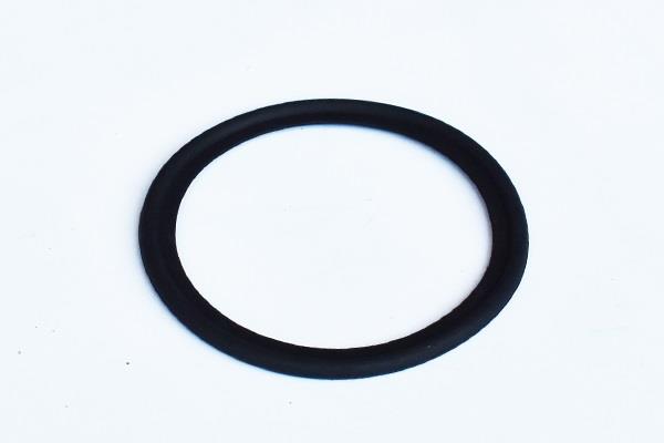 ASAM 55308 Termostat gasket 55308