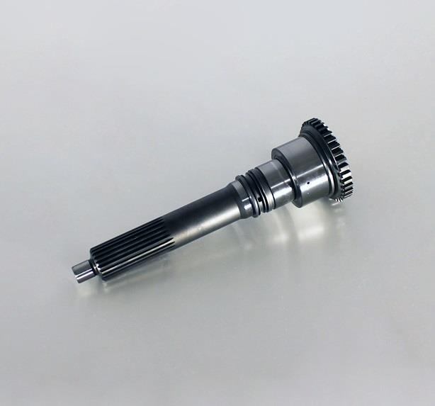 102409 C.E.I. Primary shaft