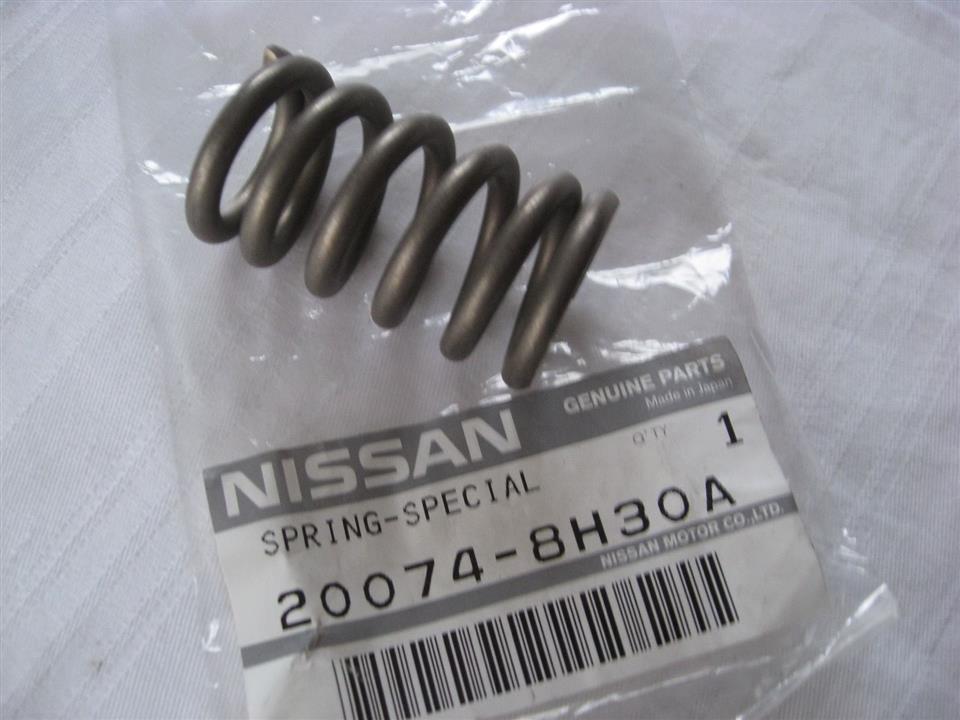 Nissan 20074-8H30A Exhaust pipe spring 200748H30A