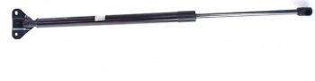Hyundai/Kia 81770 4H010 Tailgate strut 817704H010 817704H010 Hyundai/Kia Tailgate strut