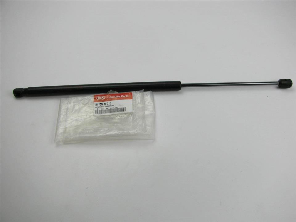 Tailgate gas struts KIA Sportage (Kia Sportage): 817701F010 Hyundai/Kia Tailgate strut