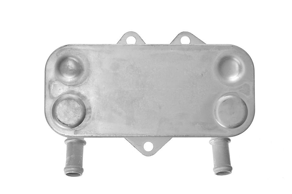 Buy NTY CCL-PL-001 at a low price in United Arab Emirates!