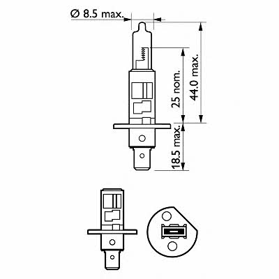 Buy Philips 12258XV+B1 at a low price in United Arab Emirates!