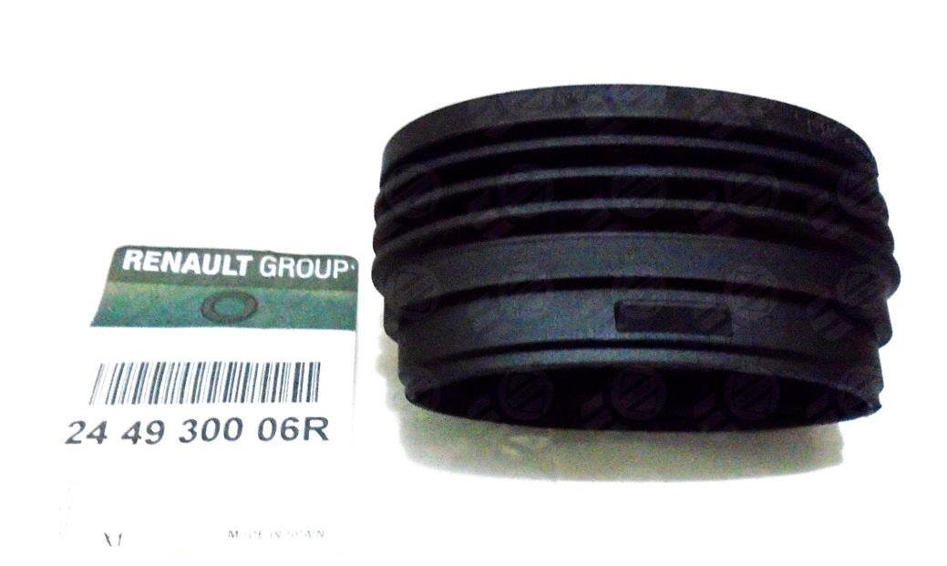 Renault 24 49 300 06R Air filter nozzle, air intake 244930006R