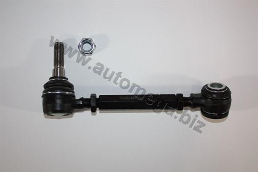AutoMega 110088710 Suspension Arm Rear Upper Left 110088710