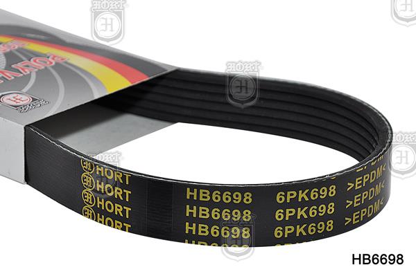 Hort HB6698 V-Ribbed Belt HB6698