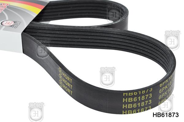 Hort HB61873 V-Ribbed Belt HB61873