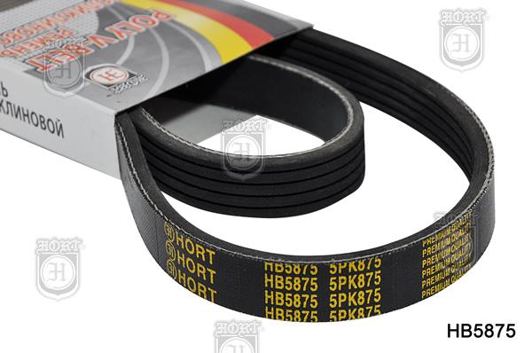 Hort HB5875 V-Ribbed Belt HB5875