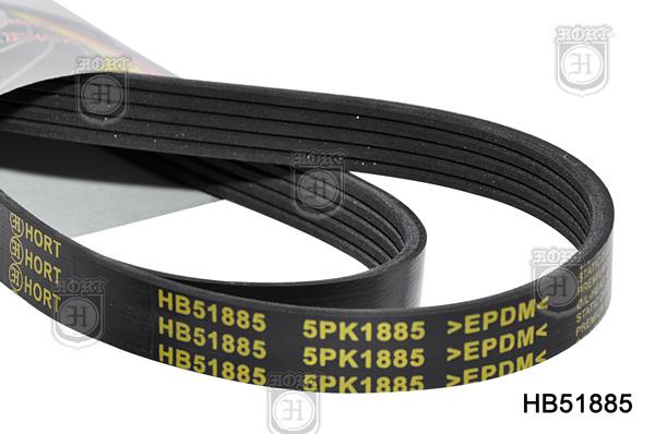 Hort HB51885 V-Ribbed Belt HB51885