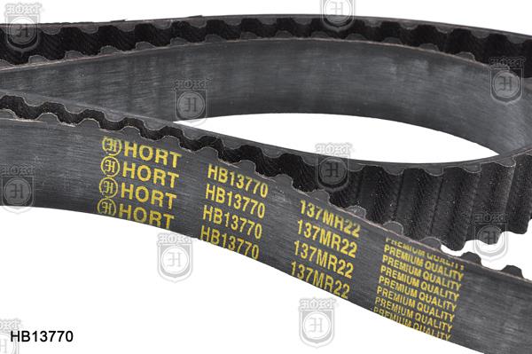 Hort HB13770 Timing belt HB13770