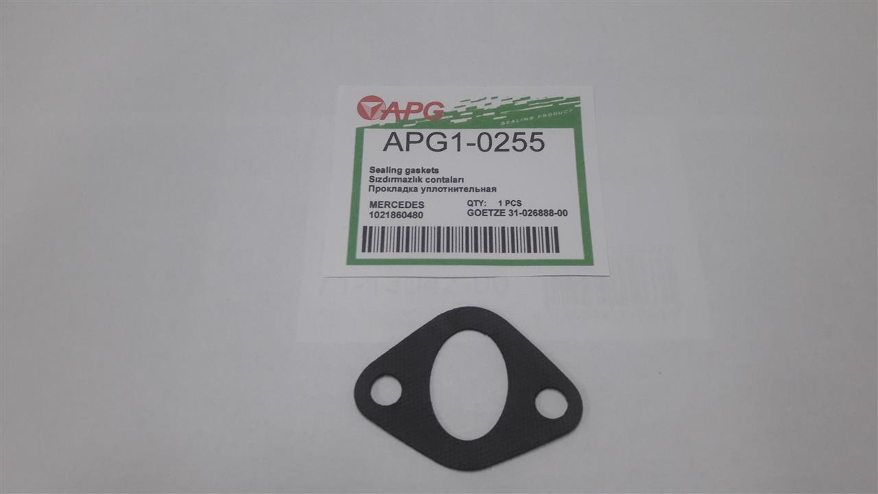 APG APG1-0255 Oil pump gasket APG10255