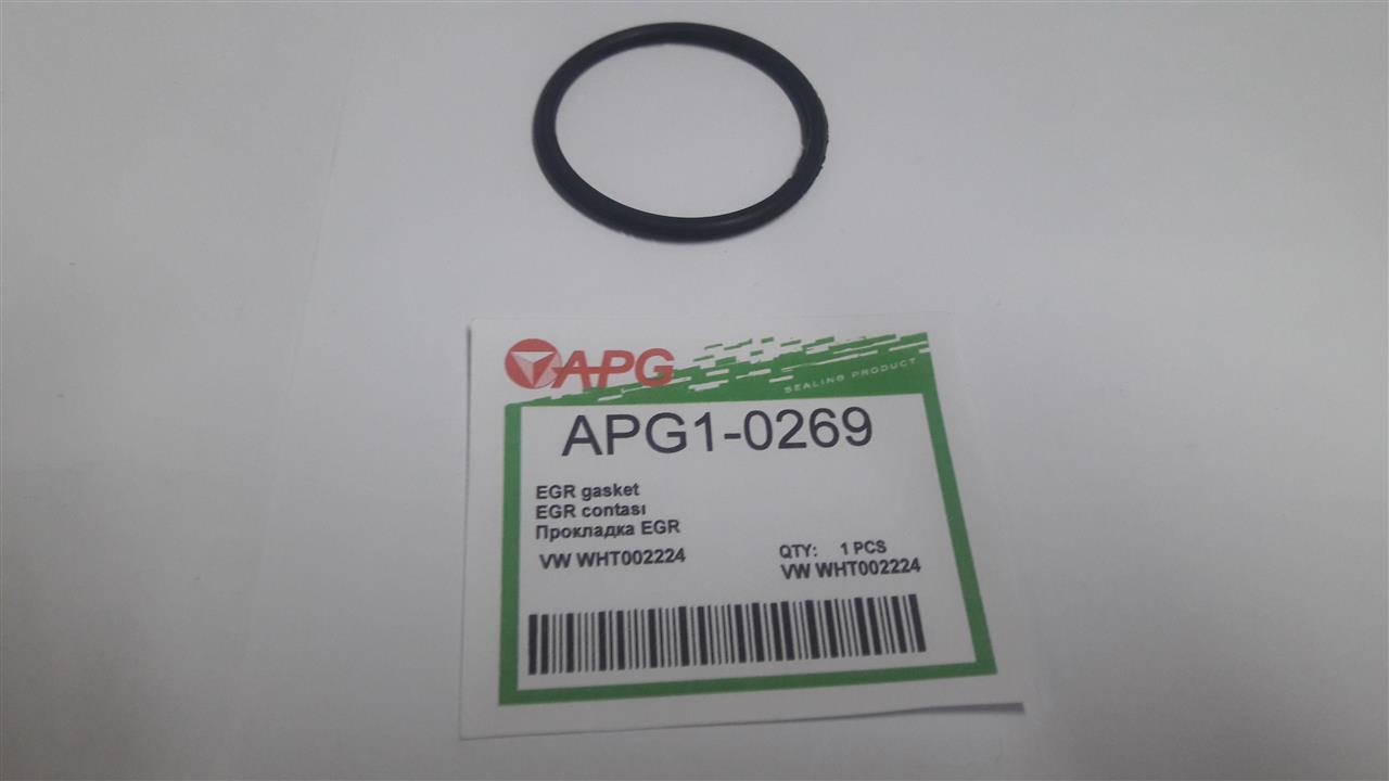 APG APG1-0269 Ring sealing APG10269