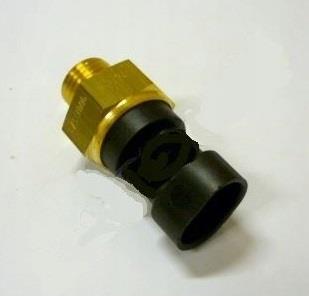 Iveco 504064817 Fuel temperature sensor 504064817