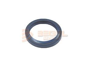 Begel BG26001 Ring sealing BG26001