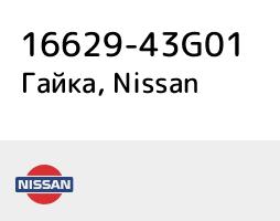 1662943G01 Nissan Fuel injector nut