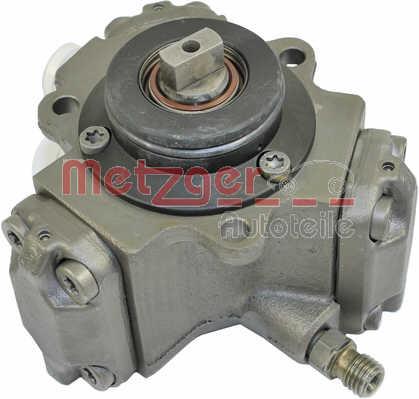 Metzger 0830009 Injection Pump 0830009