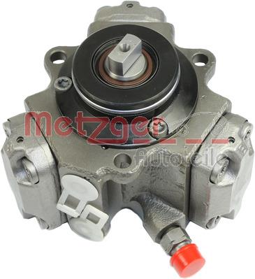 Metzger 0830012 Injection Pump 0830012