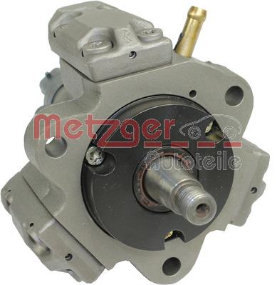 Metzger 0830017 Injection Pump 0830017