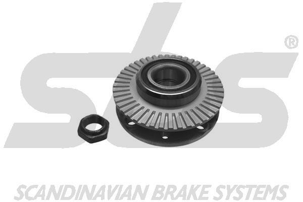 SBS 1401769925 Wheel bearing kit 1401769925