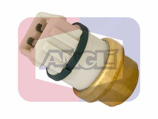 Angli 17503 Fan switch 17503