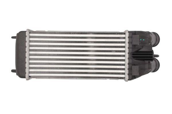 Buy Thermotec DAP003TT at a low price in United Arab Emirates!