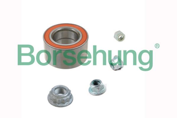 Borsehung B15959 Wheel bearing B15959