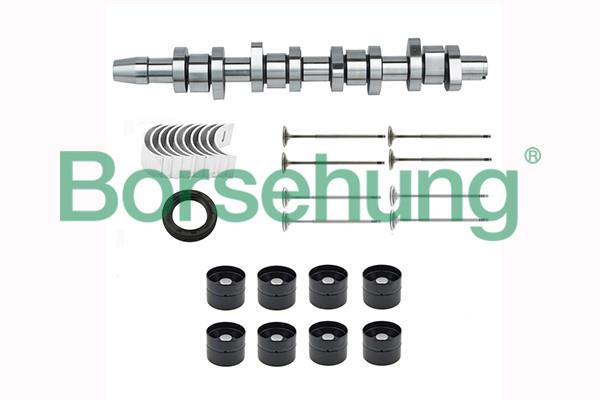 Borsehung B17129 Repair Kit, intermediate shaft B17129