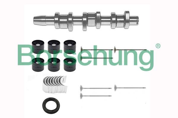 Borsehung B17130 Repair Kit, intermediate shaft B17130