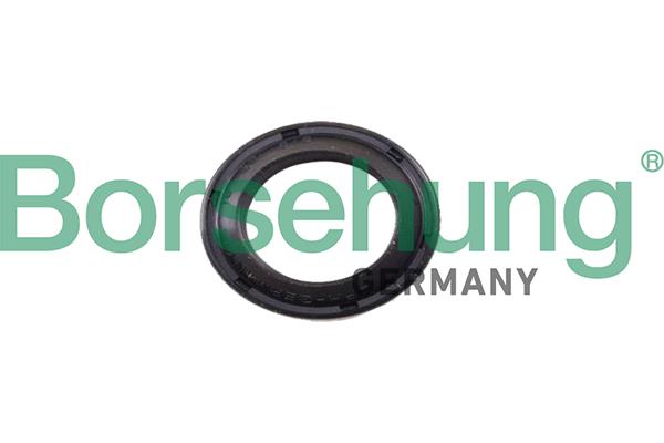 Borsehung B17833 Ring sealing B17833