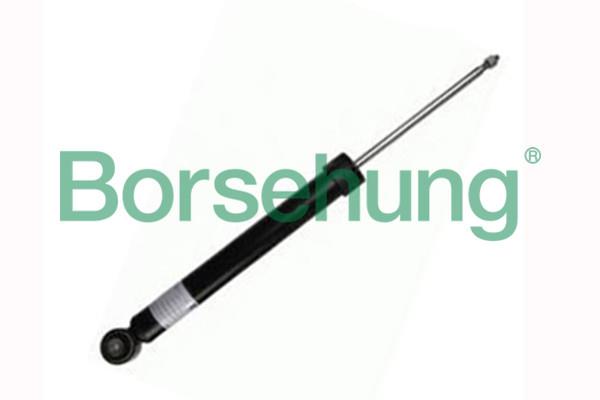 Borsehung B17893 Rear suspension shock B17893