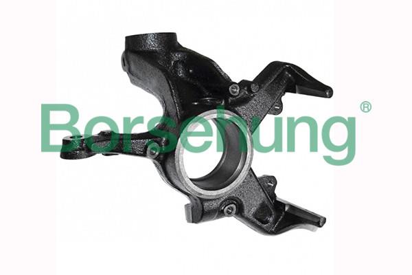 B17942 Borsehung Knuckle swivel