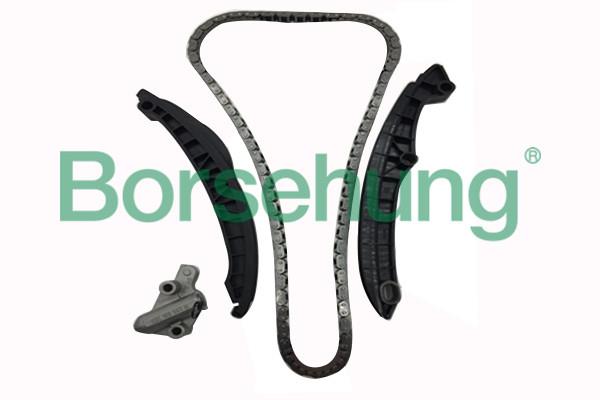 Borsehung B17991 Timing chain kit B17991