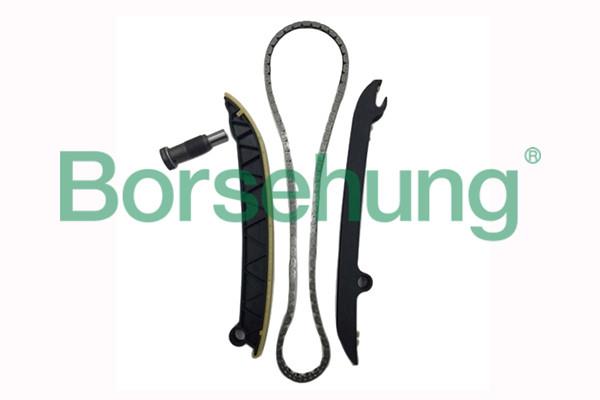 Borsehung B18296 Timing chain kit B18296