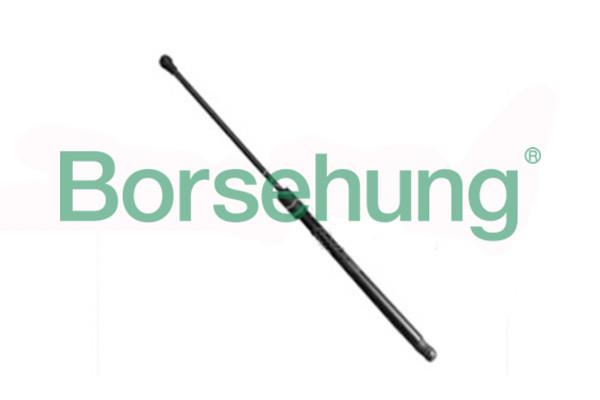 B18438 Borsehung Tailgate strut