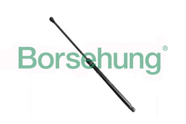 B18445 Borsehung Tailgate strut