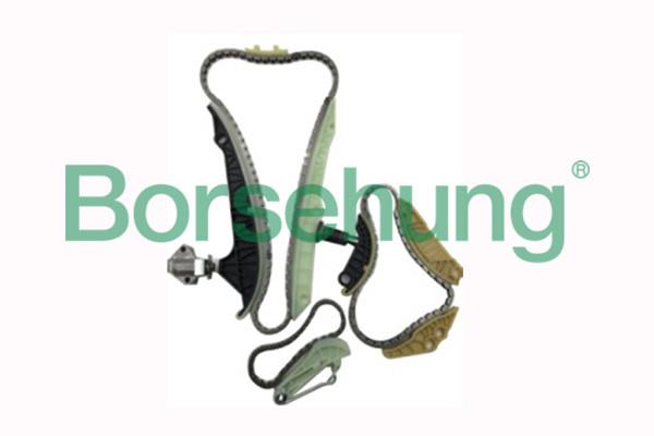 Timing chain kit Borsehung B18468