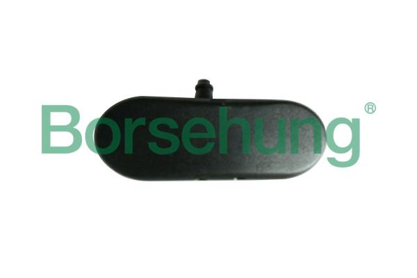 Borsehung B18496 Injector nozzle, diesel injection system B18496