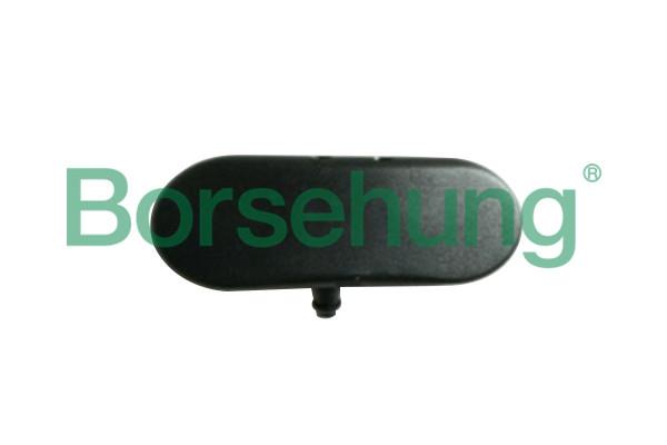 Borsehung B18497 Injector nozzle, diesel injection system B18497