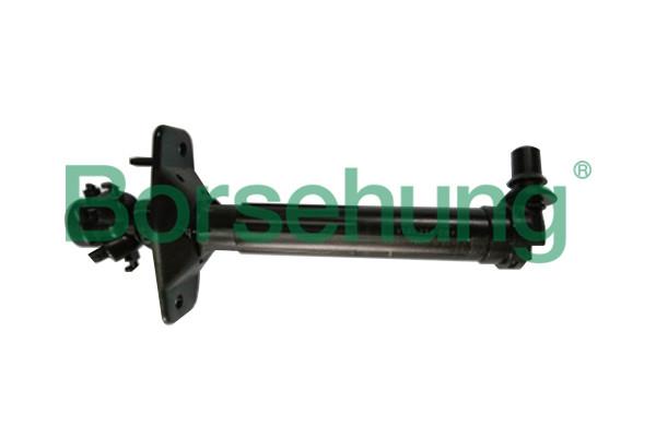 Borsehung B18504 Injector nozzle, diesel injection system B18504