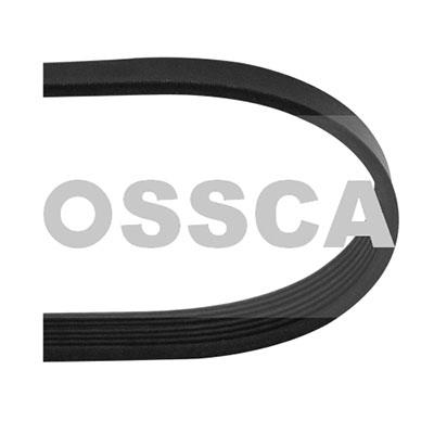 Ossca 04804 V-Ribbed Belt 04804