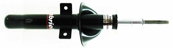 Gabriel 79063 Front oil and gas suspension shock absorber 79063
