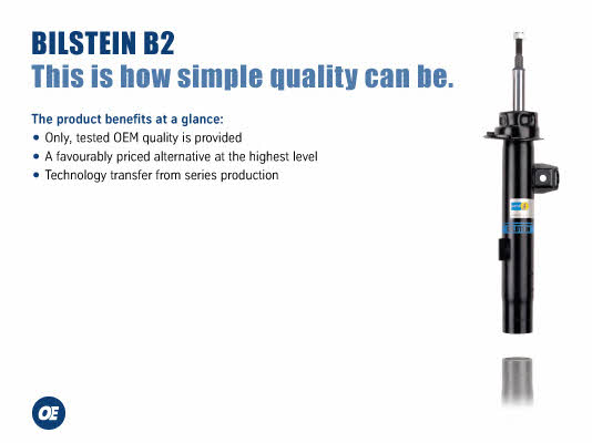 BIL000875 Bilstein Shock absorber assy