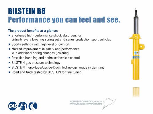 BIL002793 Bilstein Shock absorber assy