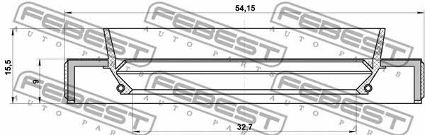 Shaft Seal, differential Febest 95HBY-34540915R