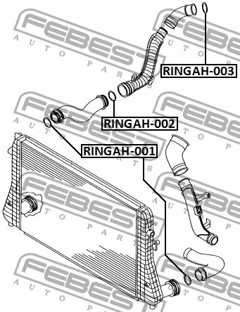 Intercooler pipe gasket Febest RINGAH-002