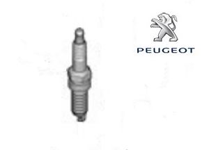 Citroen/Peugeot 96 762 881 80 Spark plug 9676288180